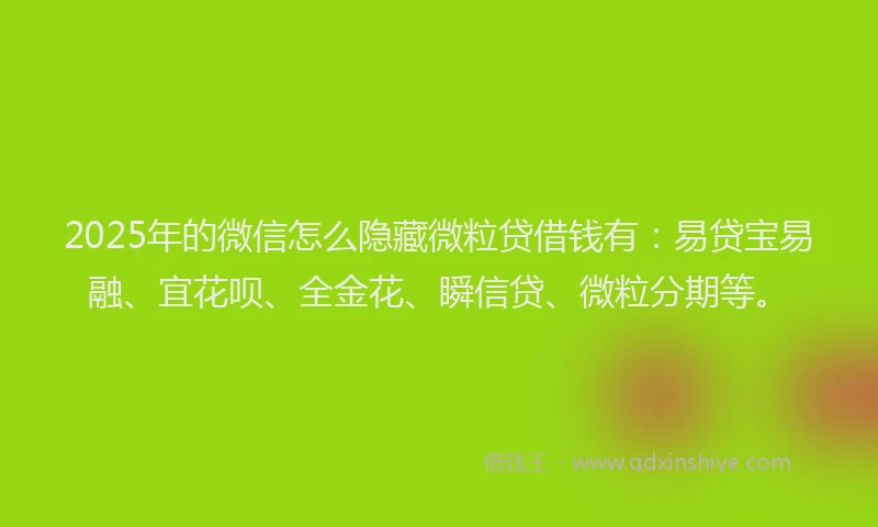 2025年的微信怎么隐藏微粒贷借钱有：易贷宝易融、宜花呗、全金花、瞬信贷、微粒分期等。