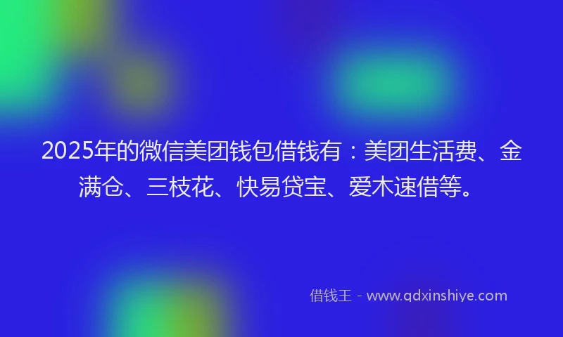 2025年的微信美团钱包借钱有:美团生活费、金满仓、三枝花、快易贷宝、爱木速借等。
