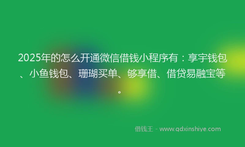 2025年的怎么开通微信借钱小程序有:享宇钱包、小鱼钱包、珊瑚买单、够享借、借贷易融宝等。