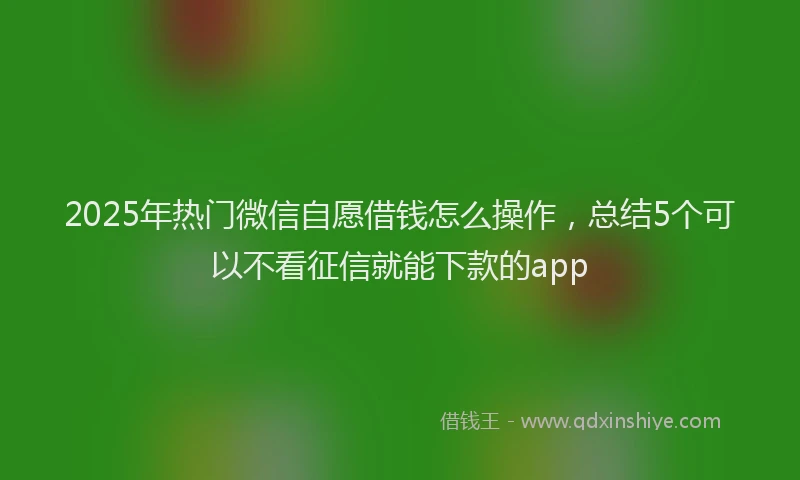 2025年热门微信自愿借钱怎么操作，总结5个可以不看征信就能下款的app