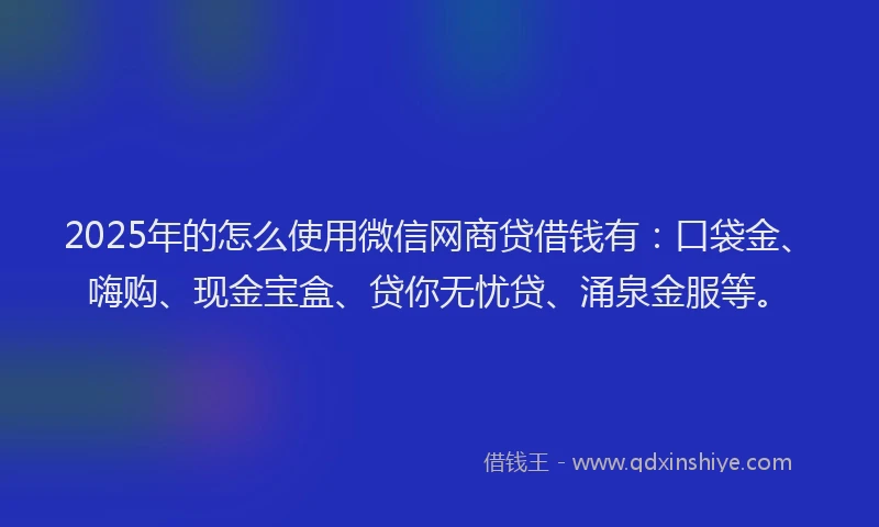 2025年的怎么使用微信网商贷借钱有：口袋金、嗨购、现金宝盒、贷你无忧贷、涌泉金服等。
