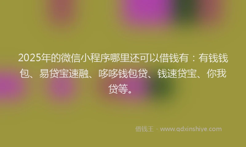 2025年的微信小程序哪里还可以借钱有：有钱钱包、易贷宝速融、哆哆钱包贷、钱速贷宝、你我贷等。