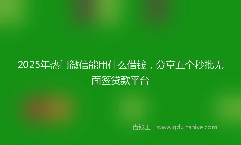 2025年热门微信能用什么借钱，分享五个秒批无面签贷款平台