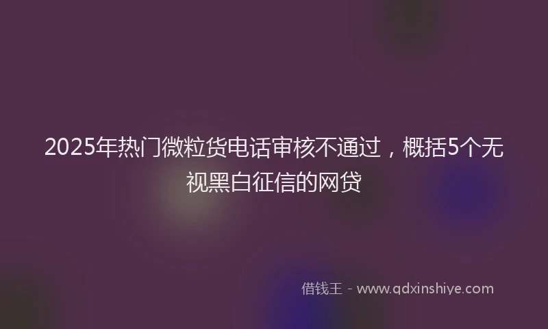 2025年热门微粒货电话审核不通过，概括5个无视黑白征信的网贷