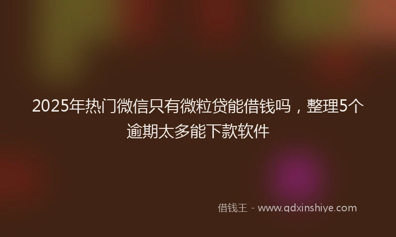 2025年热门微信只有微粒贷能借钱吗，整理5个逾期太多能下款软件