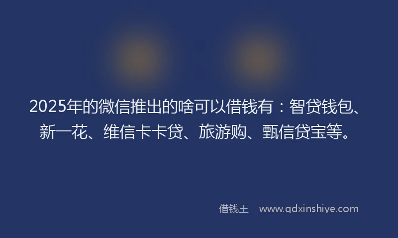 2025年的微信推出的啥可以借钱有：智贷钱包、新一花、维信卡卡贷、旅游购、甄信贷宝等。