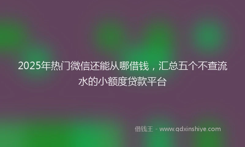 2025年热门微信还能从哪借钱，汇总五个不查流水的小额度贷款平台