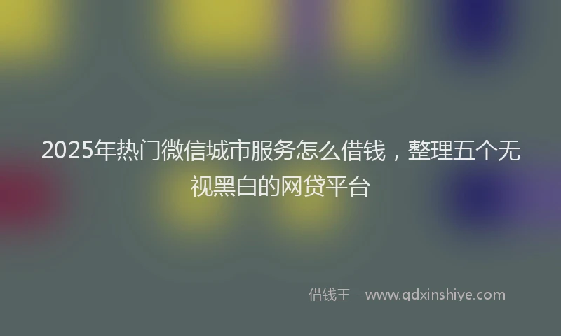 2025年热门微信城市服务怎么借钱，整理五个无视黑白的网贷平台