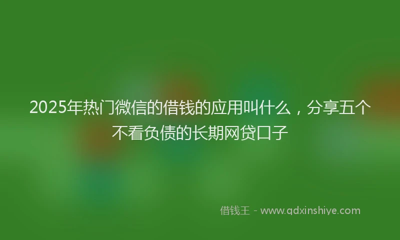 2025年热门微信的借钱的应用叫什么，分享五个不看负债的长期网贷口子