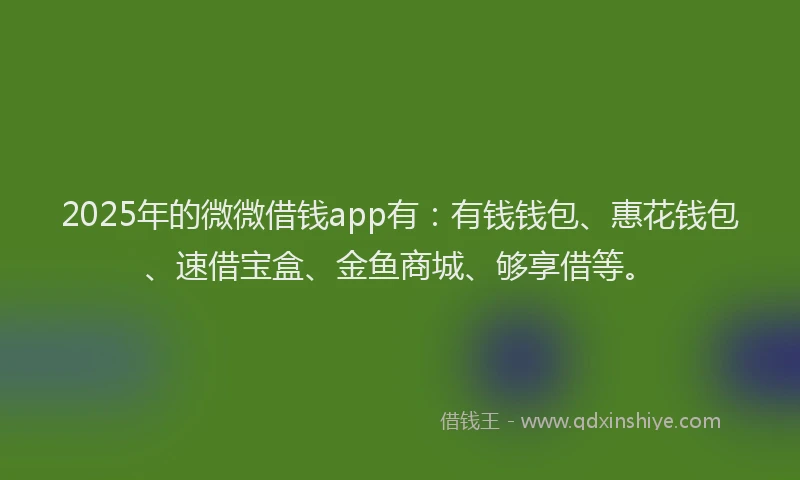 2025年的微微借钱app有：有钱钱包、惠花钱包、速借宝盒、金鱼商城、够享借等。