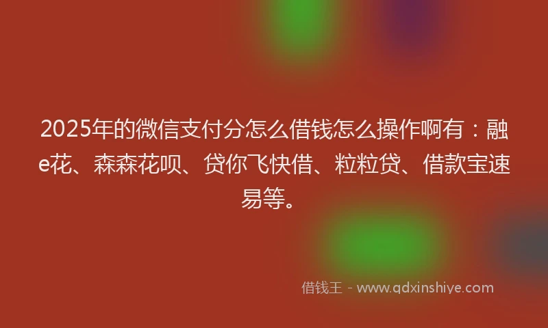2025年的微信支付分怎么借钱怎么操作啊有：融e花、森森花呗、贷你飞快借、粒粒贷、借款宝速易等。