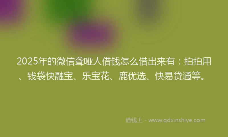 2025年的微信聋哑人借钱怎么借出来有：拍拍用、钱袋快融宝、乐宝花、鹿优选、快易贷通等。