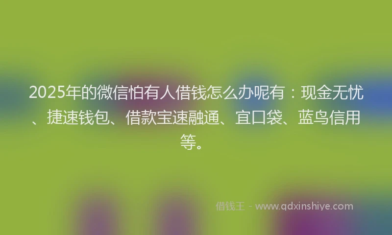 2025年的微信怕有人借钱怎么办呢有：现金无忧、捷速钱包、借款宝速融通、宜口袋、蓝鸟信用等。