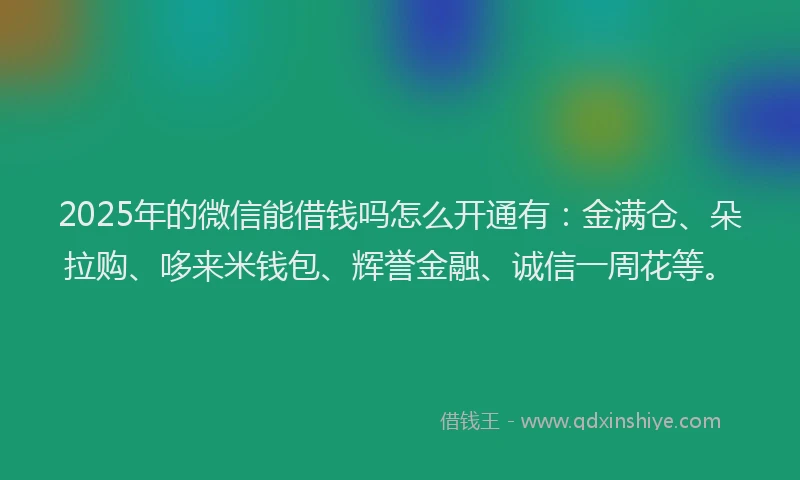 2025年的微信能借钱吗怎么开通有：金满仓、朵拉购、哆来米钱包、辉誉金融、诚信一周花等。