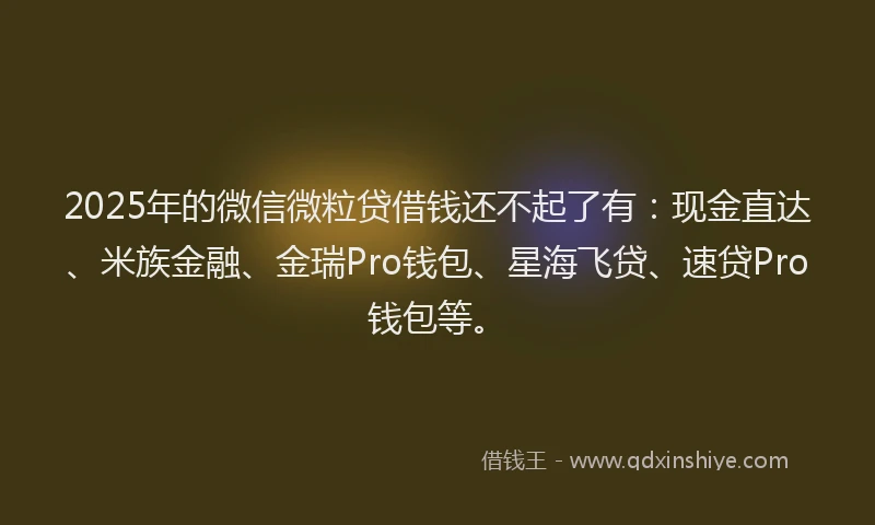 2025年的微信微粒贷借钱还不起了有：现金直达、米族金融、金瑞Pro钱包、星海飞贷、速贷Pro钱包等。