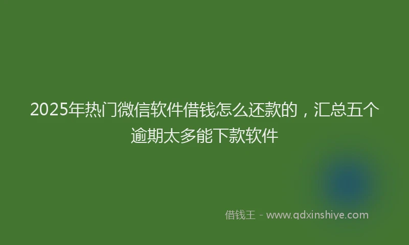 2025年热门微信软件借钱怎么还款的，汇总五个逾期太多能下款软件