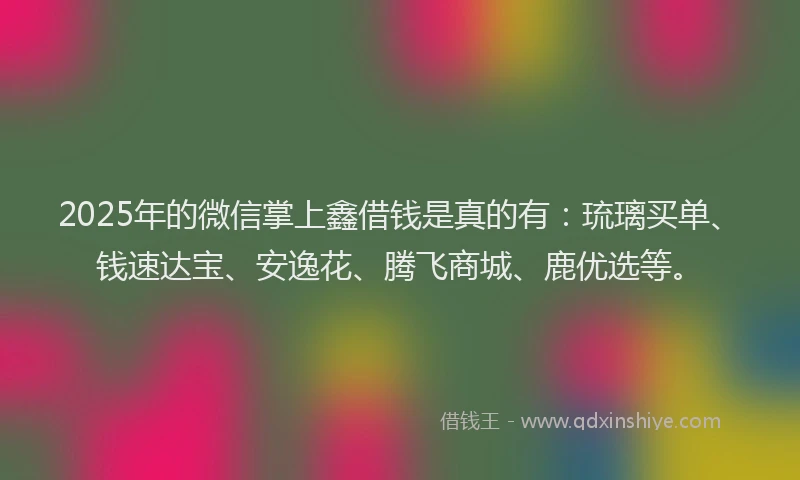 2025年的微信掌上鑫借钱是真的有：琉璃买单、钱速达宝、安逸花、腾飞商城、鹿优选等。