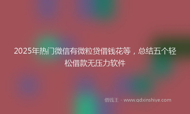 2025年热门微信有微粒贷借钱花等，总结五个轻松借款无压力软件