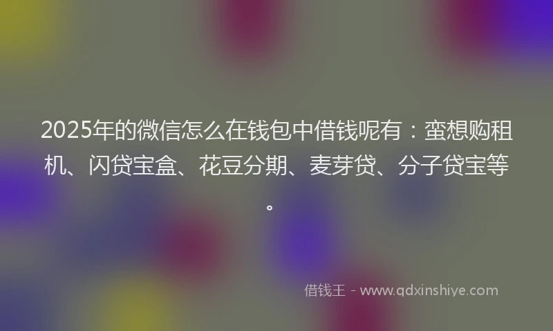 2025年的微信怎么在钱包中借钱呢有：蛮想购租机、闪贷宝盒、花豆分期、麦芽贷、分子贷宝等。