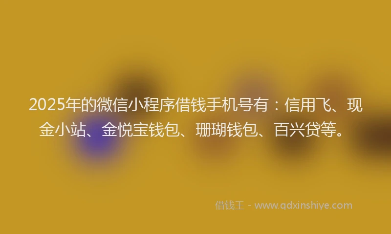 2025年的微信小程序借钱手机号有：信用飞、现金小站、金悦宝钱包、珊瑚钱包、百兴贷等。