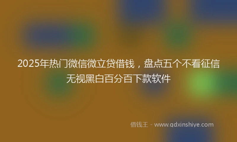 2025年热门微信微立贷借钱，盘点五个不看征信无视黑白百分百下款软件