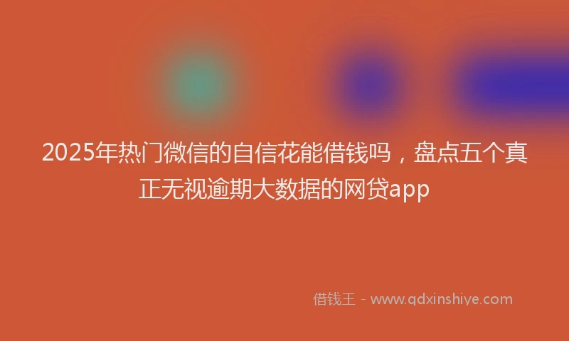 2025年热门微信的自信花能借钱吗，盘点五个真正无视逾期大数据的网贷app
