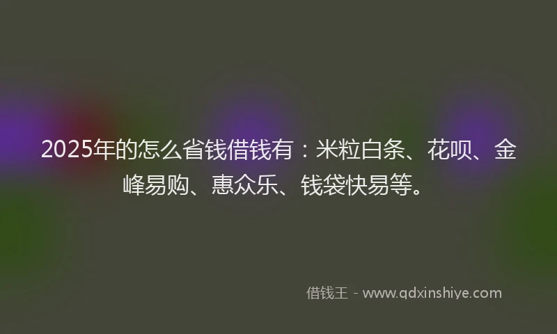 2025年的怎么省钱借钱有：米粒白条、花呗、金峰易购、惠众乐、钱袋快易等。