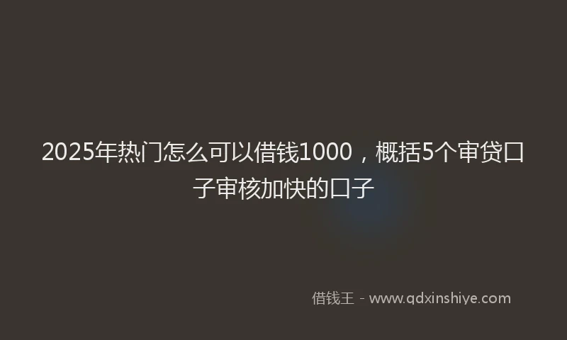 2025年热门怎么可以借钱1000，概括5个审贷口子审核加快的口子