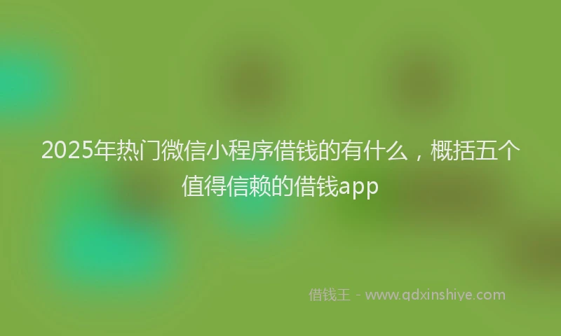 2025年热门微信小程序借钱的有什么，概括五个值得信赖的借钱app