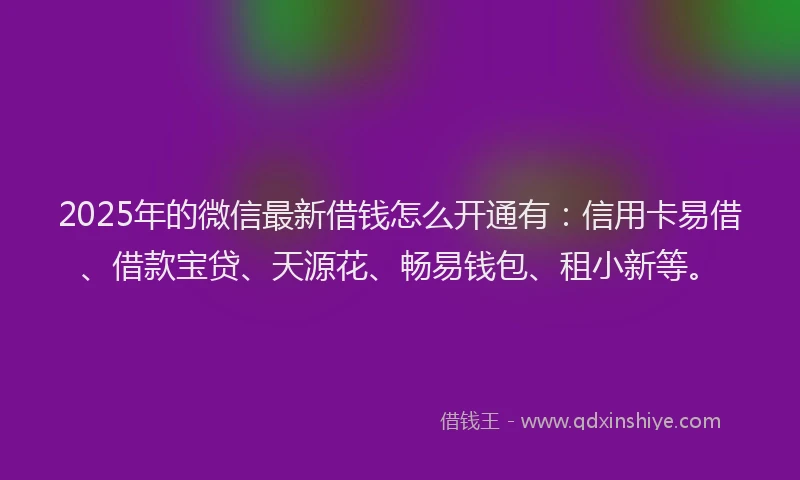 2025年的微信最新借钱怎么开通有：信用卡易借、借款宝贷、天源花、畅易钱包、租小新等。