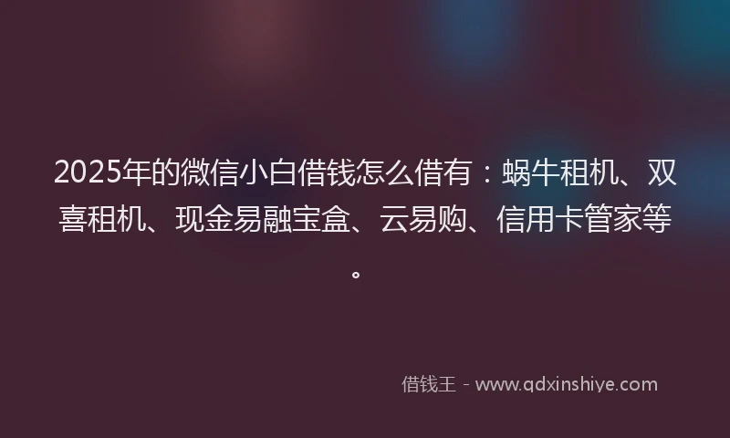 2025年的微信小白借钱怎么借有：蜗牛租机、双喜租机、现金易融宝盒、云易购、信用卡管家等。