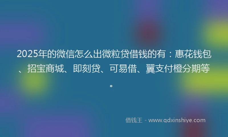 2025年的微信怎么出微粒贷借钱的有：惠花钱包、招宝商城、即刻贷、可易借、翼支付橙分期等。