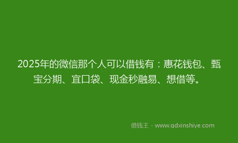 2025年的微信那个人可以借钱有：惠花钱包、甄宝分期、宜口袋、现金秒融易、想借等。
