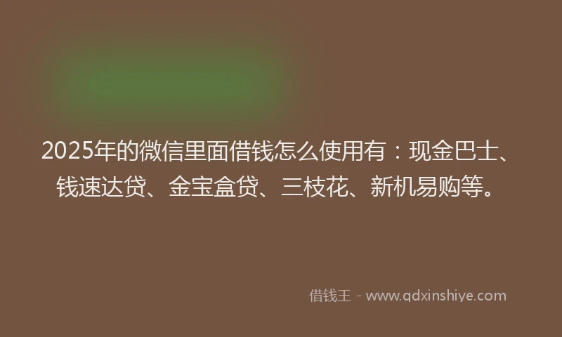 2025年的微信里面借钱怎么使用有：现金巴士、钱速达贷、金宝盒贷、三枝花、新机易购等。