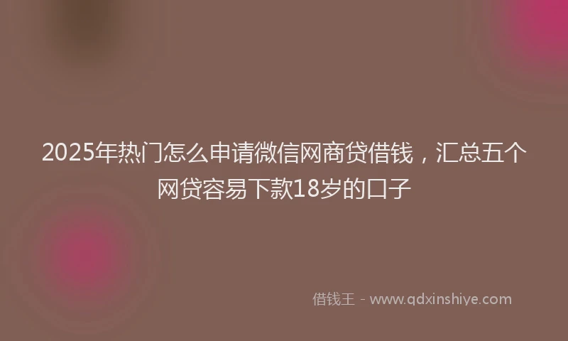 2025年热门怎么申请微信网商贷借钱，汇总五个网贷容易下款18岁的口子