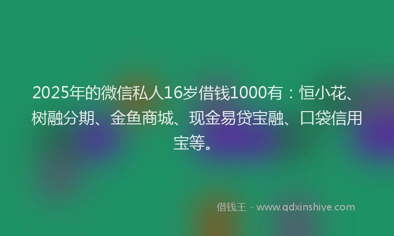 2025年的微信私人16岁借钱1000有：恒小花、树融分期、金鱼商城、现金易贷宝融、口袋信用宝等。