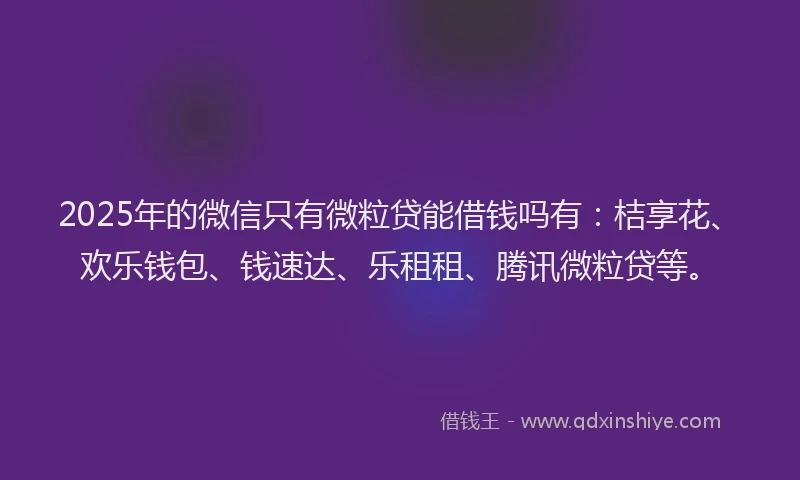 2025年的微信只有微粒贷能借钱吗有：桔享花、欢乐钱包、钱速达、乐租租、腾讯微粒贷等。