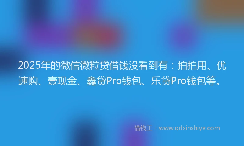 2025年的微信微粒贷借钱没看到有：拍拍用、优速购、壹现金、鑫贷Pro钱包、乐贷Pro钱包等。