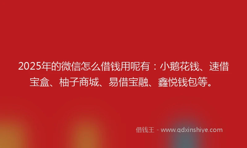 2025年的微信怎么借钱用呢有：小鹅花钱、速借宝盒、柚子商城、易借宝融、鑫悦钱包等。