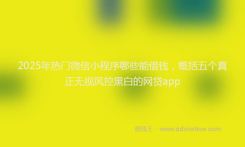 2025年热门微信小程序哪些能借钱，概括五个真正无视风控黑白的网贷app