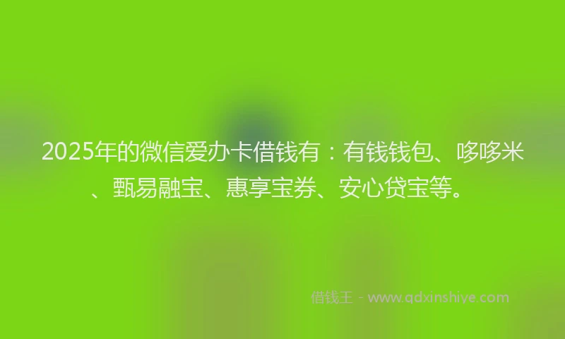 2025年的微信爱办卡借钱有：有钱钱包、哆哆米、甄易融宝、惠享宝券、安心贷宝等。