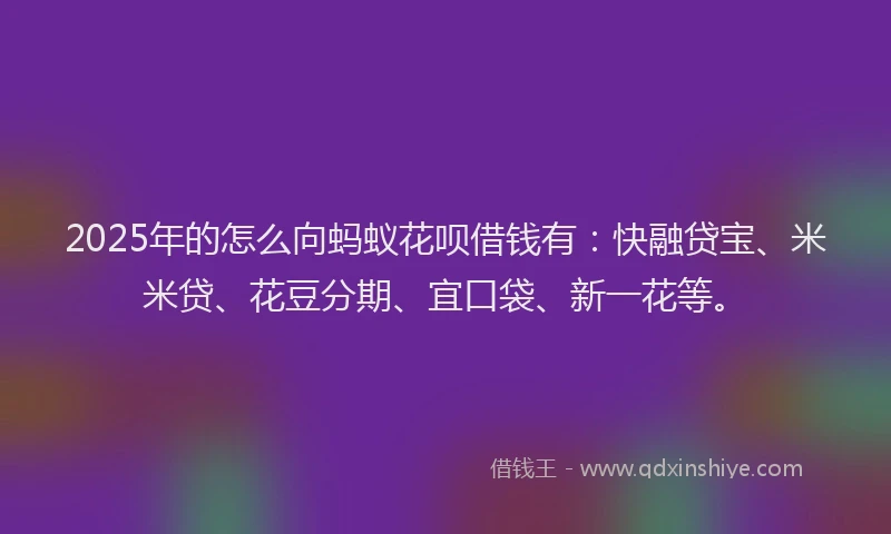 2025年的怎么向蚂蚁花呗借钱有：快融贷宝、米米贷、花豆分期、宜口袋、新一花等。