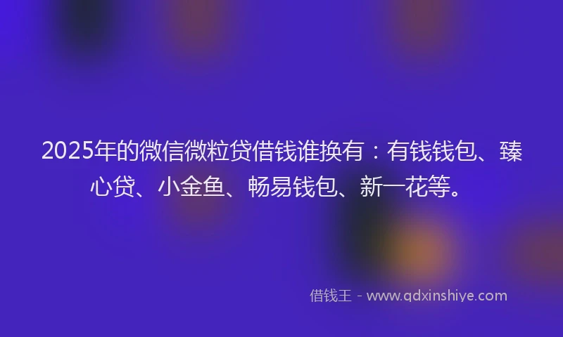 2025年的微信微粒贷借钱谁换有：有钱钱包、臻心贷、小金鱼、畅易钱包、新一花等。