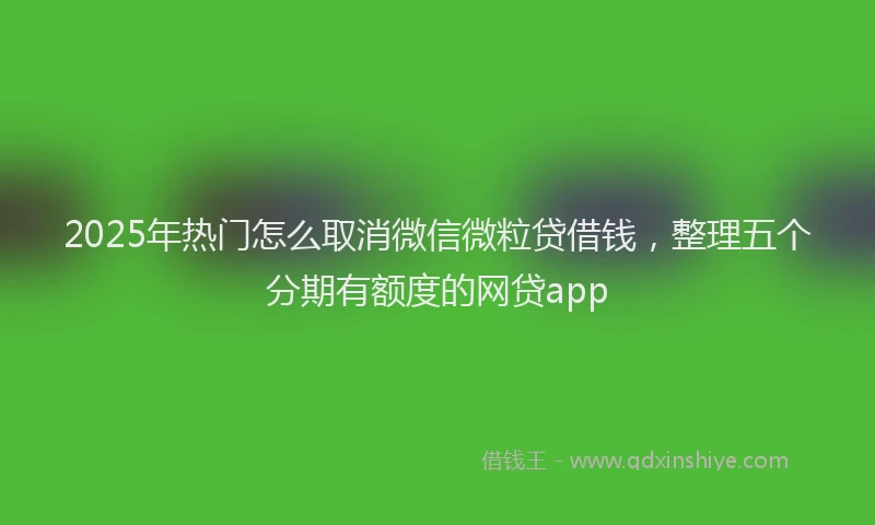 2025年热门怎么取消微信微粒贷借钱，整理五个分期有额度的网贷app