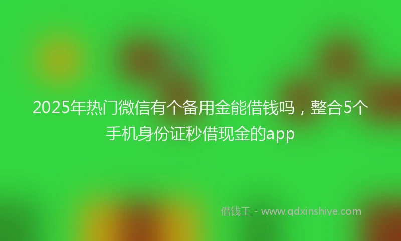 2025年热门微信有个备用金能借钱吗，整合5个手机身份证秒借现金的app