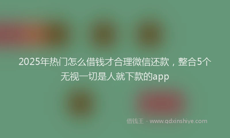 2025年热门怎么借钱才合理微信还款，整合5个无视一切是人就下款的app