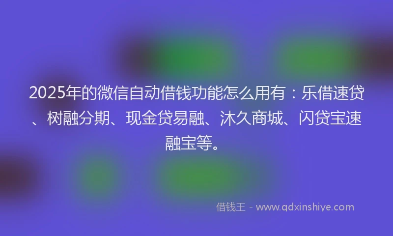 2025年的微信自动借钱功能怎么用有：乐借速贷、树融分期、现金贷易融、沐久商城、闪贷宝速融宝等。
