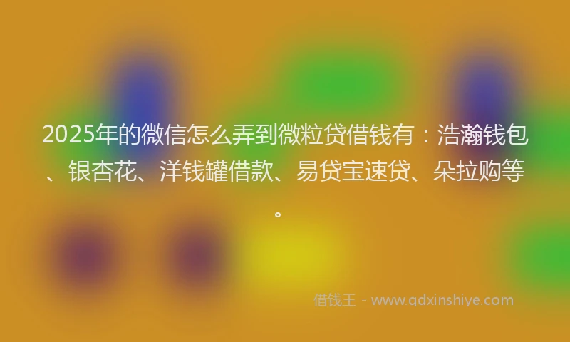 2025年的微信怎么弄到微粒贷借钱有：浩瀚钱包、银杏花、洋钱罐借款、易贷宝速贷、朵拉购等。