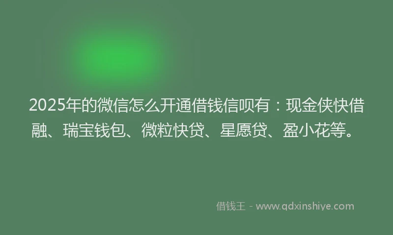 2025年的微信怎么开通借钱信呗有：现金侠快借融、瑞宝钱包、微粒快贷、星愿贷、盈小花等。