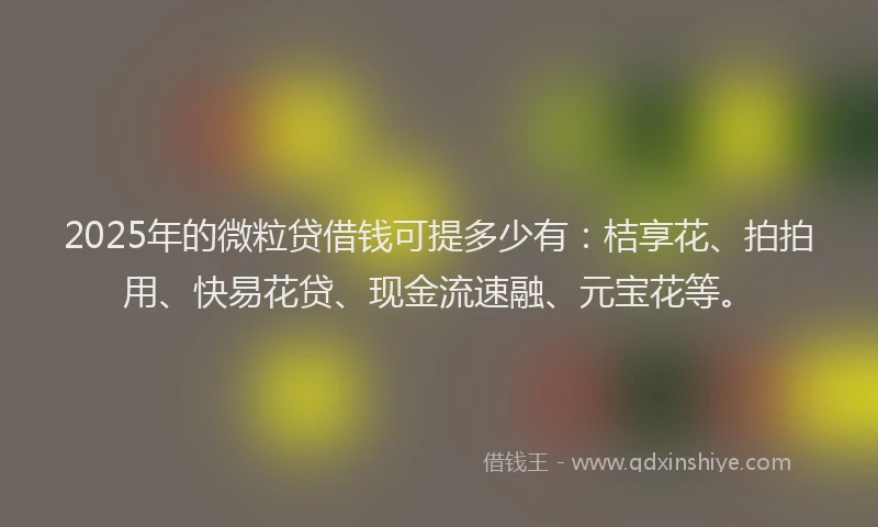 2025年的微粒贷借钱可提多少有：桔享花、拍拍用、快易花贷、现金流速融、元宝花等。
